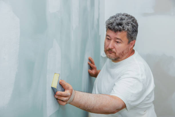Mold Odor Removal Services in Morse, LA